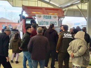 Hisarcık’ta 3 Bin 500 Fidan Dağıtıldı