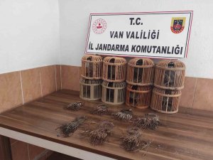 Van’da Kafes Avcılığı
