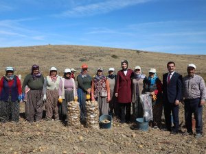 Afet Bölgesinde Üretilemeyen Tarım Ürünleri Afyonkarahisar’da Üretilecek