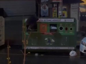 Geri Dönüşüm Kutusuna Girerek Atıkları Böyle Çaldı