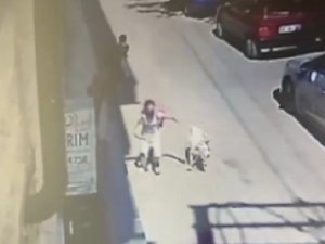 5 Yaşındaki Çocuğa Ve Kadına Saldıran Köpeğin Sahibine Hapis Talebi