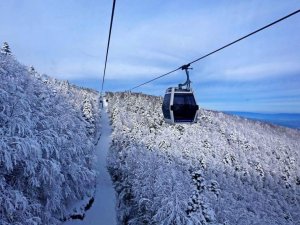 Teleferiğe 3 Haftalık Bakım Molası