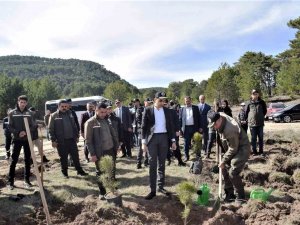 Domaniç’te 250 Karaçam Fidanı Toprakla Buluştu