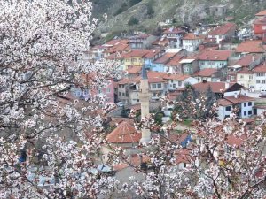 Kütahya’da Badem Ağaçlarının Çiçek Açması Güzel Görüntüler Oluşturdu