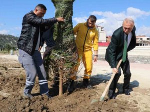 Taşova Millet Bahçesi’ne 3 Bin 500 Fidan