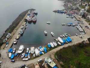 Hamsi Ve İstavrit Olmayınca Balıkçılar Sezonu Erken Kapattı