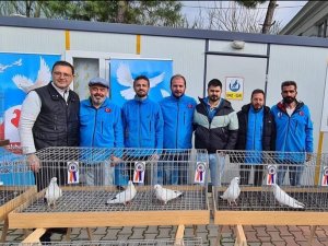 Azman Güvercinleri Güzelliğiyle Yarıştı