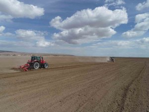 Konya Büyükşehir 800 Bin Metrekarelik Araziye Aspir Bitkisi Ekti