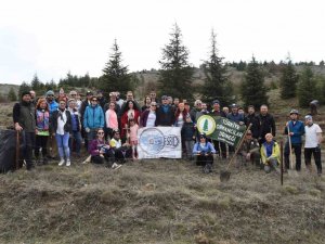 Orman Haftası Kutlamasında 250 Fidan Dikildi