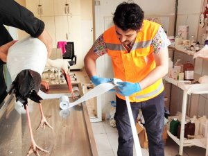 Keçiören Belediyesi Binlerce Afetzede Canlıyı Tedavi Etti