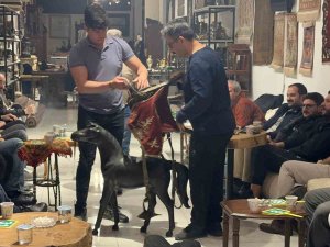 Niğde’de 25. Anadolu Müzayedesi Yapıldı