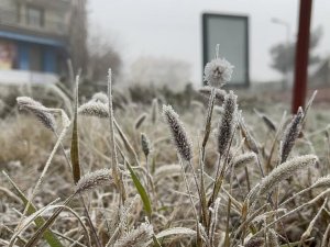 Meteorolojiden Diyarbakır İçin ‘Zirai Don’ Uyarısı