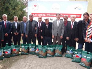 Vanlı Çiftçilere Yüzde 75 Hibeli Yonca Ve Korunga Tohumu Dağıtıldı