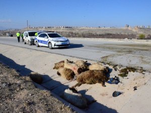 Karaman’da İki Motosiklet Koyun Sürüsüne Çarptı: 3 Yaralı