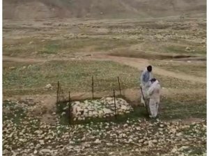 Irak’ta Terör Örgütü Deaş’ın Katlettiği Yezidilere Ait Toplu Mezar Bulundu