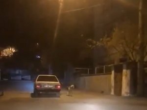Köpeği Otomobilin Kapısına Bağlayıp Koşturdu