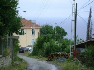 Kastamonu’da Şap Nedeniyle Bir İlçe Karantinaya Alındı