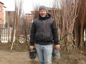 Havaların Isınmasıyla Meyve Fidanları Da Görücüye Çıktı