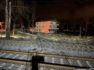 Şiddetli Rüzgar Demir Yoluna Ağaç Devirdi, Ulaşım Aksadı