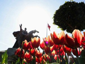 Antalya Rengârenk Lalelerle Süslendi