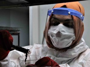 Antalya’da 50 Metrekare Alanda 60 Bin "Terminatör" Böcek Üretiliyor