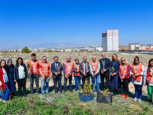Kmü’de Depremde Hayatını Kaybeden Öğrenciler Anısına Fidan Dikildi