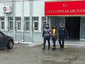 Aranan Dolandırıcı Şanlıurfa’da Yakalandı