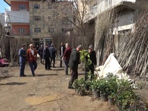 Muş’ta Fidan Satışları Başladı
