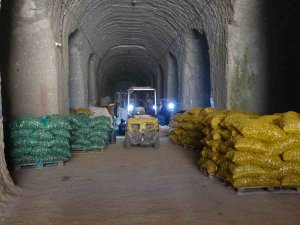 Milli Patates Tohumları Toprakla Buluşuyor