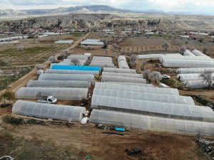 40 Milyon Tohum Toprakla Buluştu