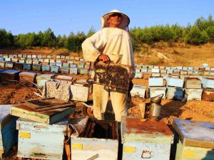 Arıcılara ‘Erken Bahar’ Uyarısı