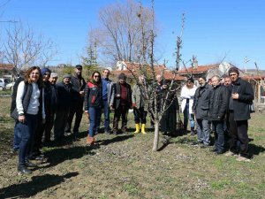 Eskişehir Çiftçisine Meyve Ağaçlarında Aşılama Kursu