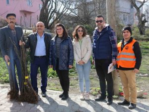 Atakum’da Çiftçiye 1000 İncir Fidanı Desteği