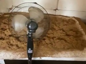 Kocaeli’de 4 Adresi Sigara Üretim Fabrikasına Çevirdiler