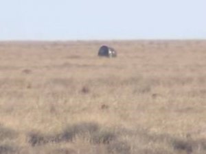 Göktaşının Çarptığı Soyuz Ms-22 Uzay Aracı, Dünya’ya Geri Döndü