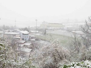 Mart Kapıdan Baktırdı: Kavak Beyaza Büründü