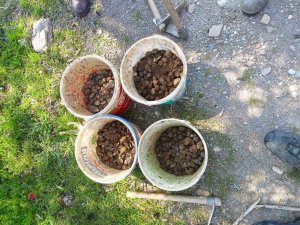 Kaçak Salep Avcıları Jandarmadan Kaçamadı