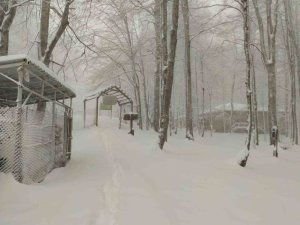 Bahar Ayında Kocaeli Beyaza Büründü, Kar Kalınlığı 30 Santimi Aştı