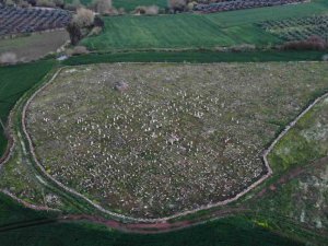 Ecdat Yadigarları Depremden Etkilenmedi