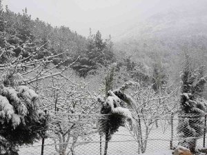 Yoğun Kar Yağışı Nedeniyle Spil Dağı Milli Parkı’nın Yolları Kapandı