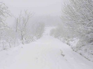 Sakarya’nın Yüksek Kesimleri Beyaza Büründü