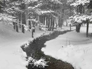 Abant’ta Kar Kalınlığı 15 Santimi Geçti