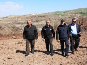 Kocasinan’da Yabani Alıç Ağaçları, Ekonomik Değere Dönüşüyor