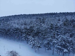 Bilecik’te Mart Ayında Kar Yağışı