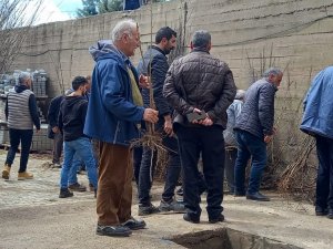 Memleketine Her Yıl Binlerce Fidan Gönderiyor