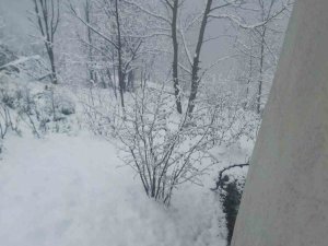 Gümeli Yüksek Rakımlı Bölgelerinde Kar Yağışı Devam Ediyor