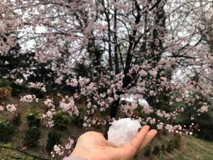 Baharı Bekleyen Ankara’ya Kış Geri Geldi