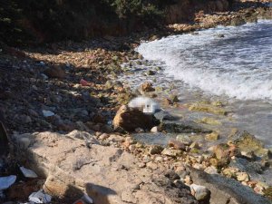 Didim’de Denizde Bir Ceset Daha Bulundu
