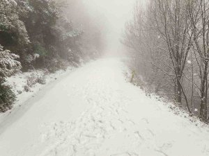 Yalova’da Yüksek Kesimler Kar Yağışıyla Beyaza Büründü