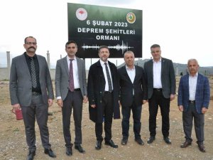 Şırnak Üniversitesinde “6 Şubat 2023 Deprem Şehitleri Ormanı” Kuruldu